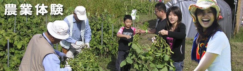 兵庫県丹波市で家族と一緒に農業体験